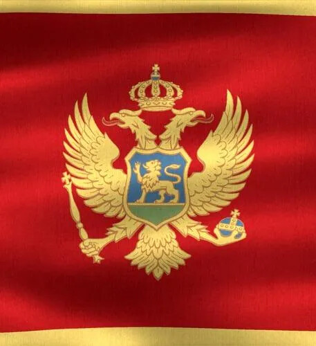 Lire la suite à propos de l’article Témoignage – Remerciements du Montenegro